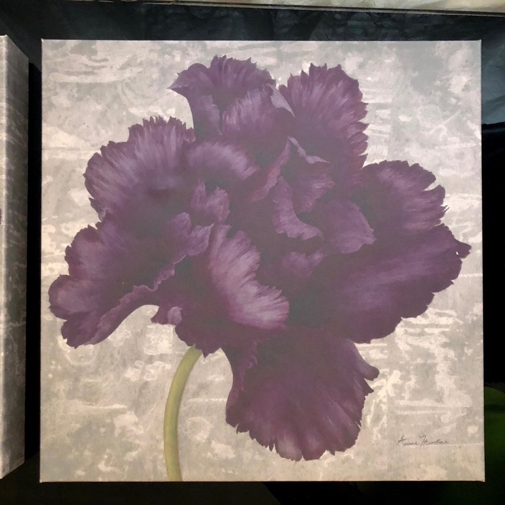 2 - 12in by 12in black plum flower art. Used.